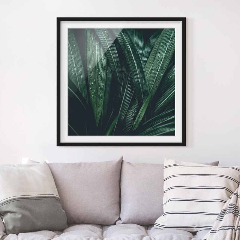 

Póster enmarcado - Green Palm Leaves Dimensión LxA: 70cm x 70cm, Marco: Negro