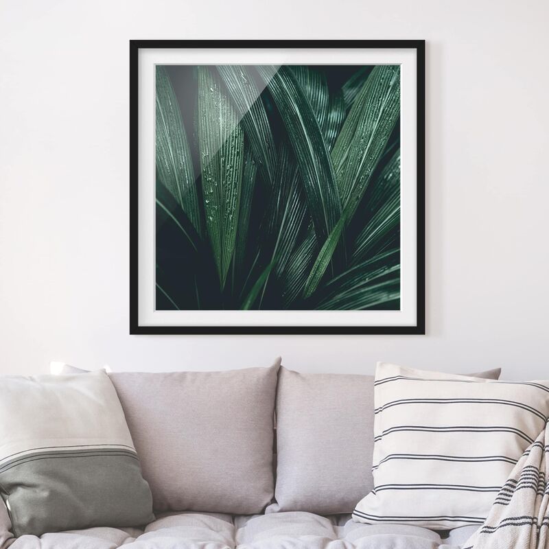 

Póster enmarcado - Green Palm Leaves Dimensión LxA: 50cm x 50cm, Marco: Negro