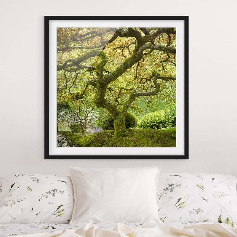 

Póster enmarcado - Green Japanese Garden Dimensión LxA: 30cm x 30cm, Marco: Negro