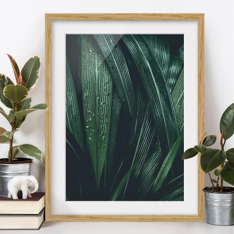 

Póster enmarcado - Green Palm Leaves Dimensión LxA: 100cm x 70cm, Marco: Roble