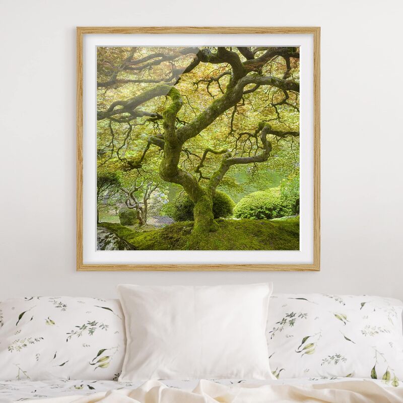 

Póster enmarcado - Green Japanese Garden Dimensión LxA: 50cm x 50cm, Marco: Roble