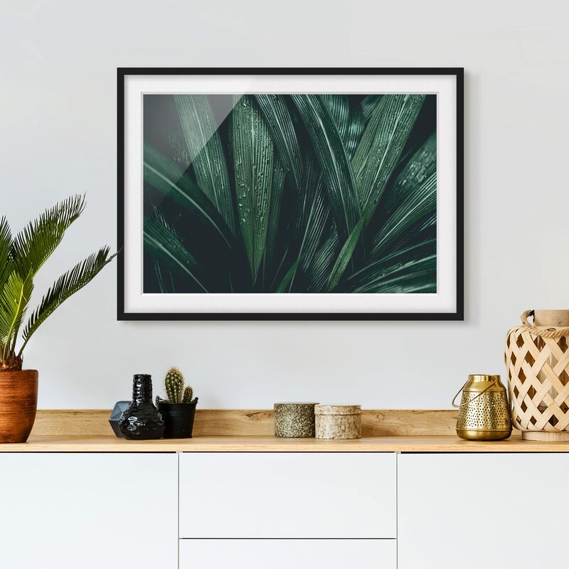 

Póster enmarcado - Green Palm Leaves Dimensión LxA: 50cm x 70cm, Marco: Negro