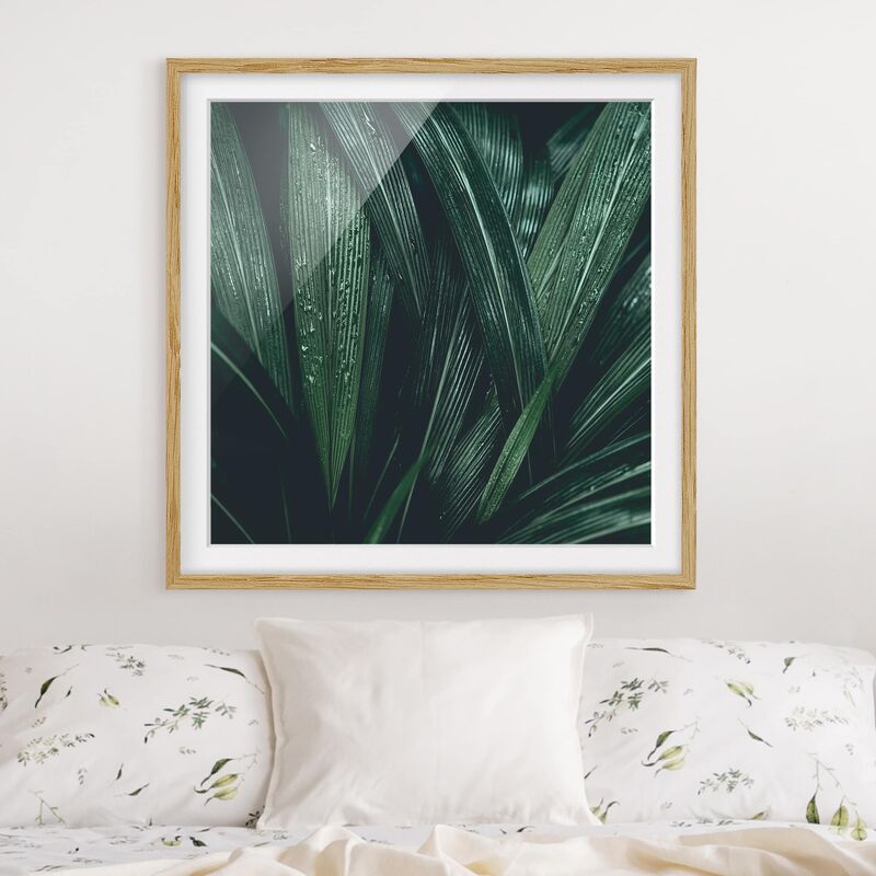 

Póster enmarcado - Green Palm Leaves Dimensión LxA: 70cm x 70cm, Marco: Roble