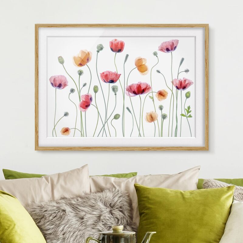 

Póster enmarcado - gruppo di papaveri Dimensión LxA: 70cm x 100cm, Marco: Roble
