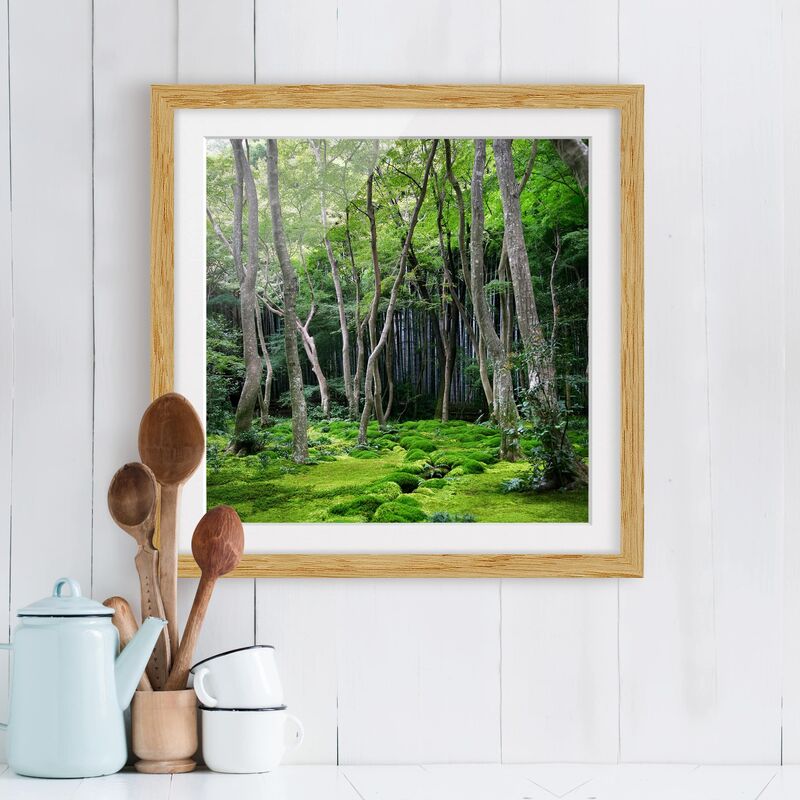 

Póster enmarcado - Growing Trees Dimensión LxA: 50cm x 50cm, Marco: Roble