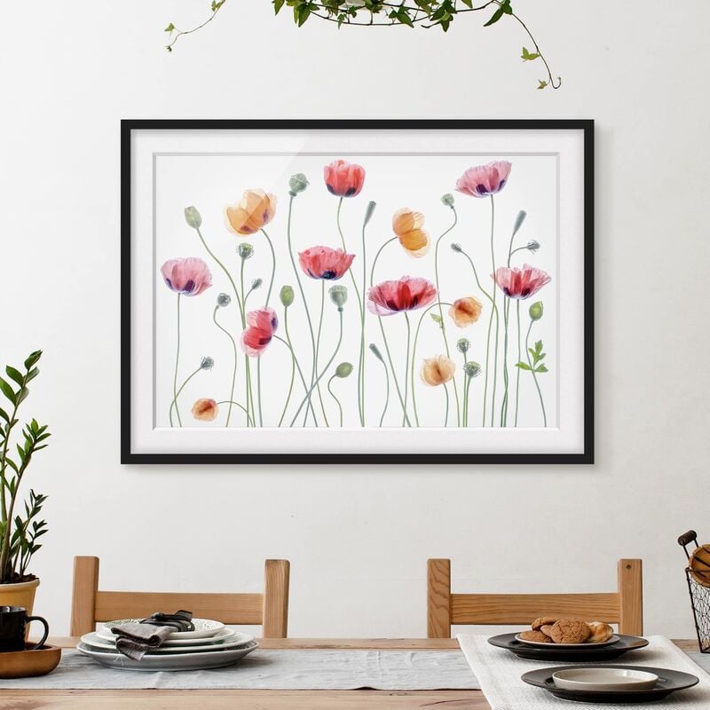 

Póster enmarcado - gruppo di papaveri Dimensión LxA: 30cm x 40cm, Marco: Negro