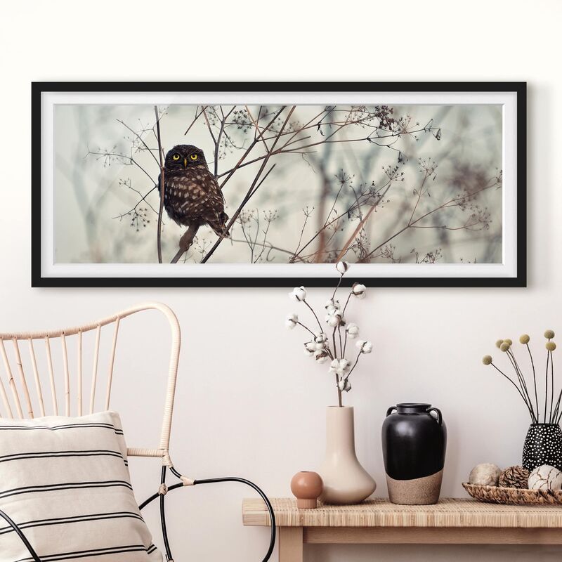 

Póster enmarcado - Gufo in inverno Dimensión LxA: 30cm x 75cm, Marco: Negro