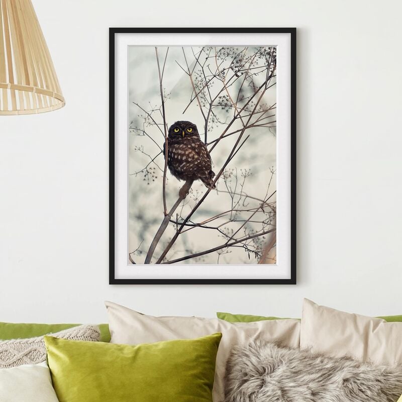 

Póster enmarcado - Gufo in inverno Dimensión LxA: 40cm x 30cm, Marco: Negro