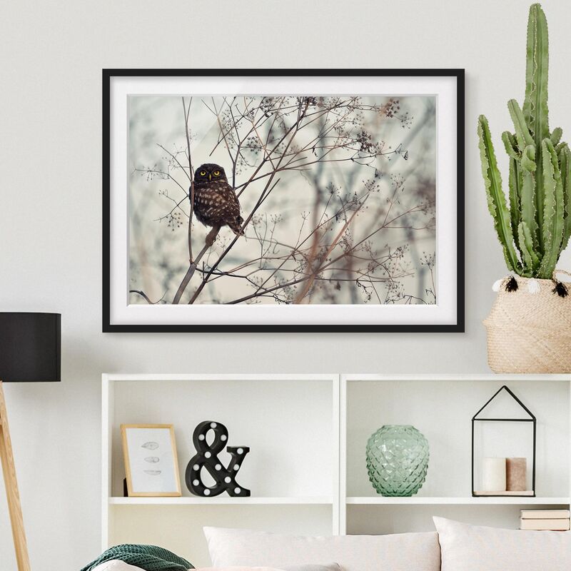 

Póster enmarcado - Gufo in inverno Dimensión LxA: 30cm x 40cm, Marco: Negro