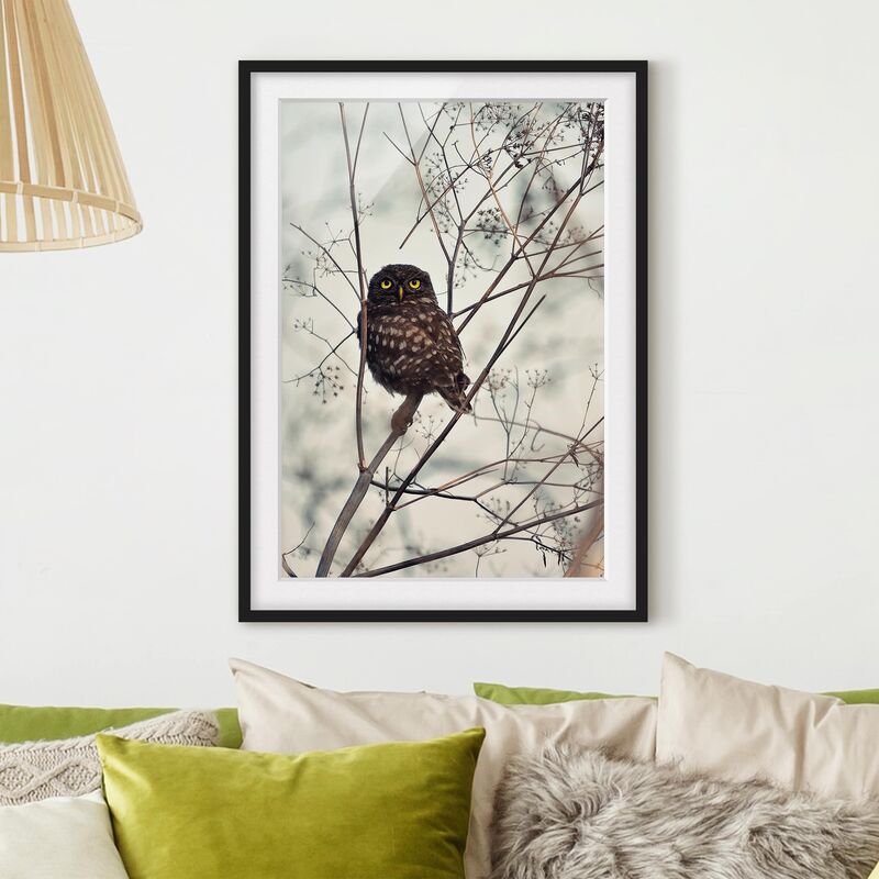 

Póster enmarcado - Gufo in inverno Dimensión LxA: 24cm x 18cm, Marco: Negro