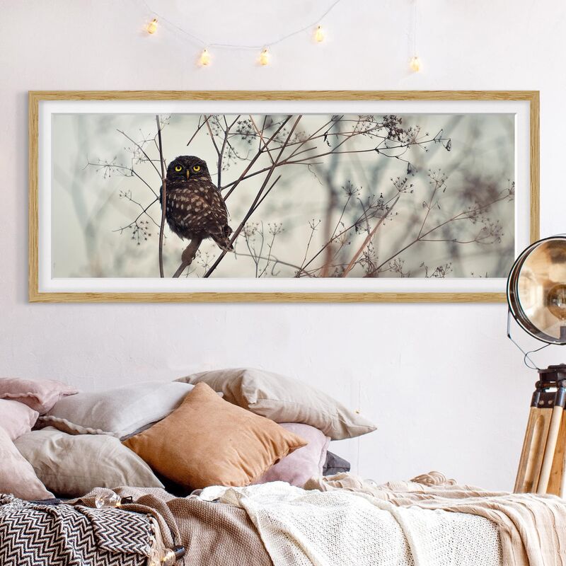 

Póster enmarcado - Gufo in inverno Dimensión LxA: 30cm x 75cm, Marco: Roble