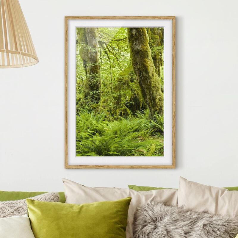 

Póster enmarcado - Hall Of Mosses Olympic National Park Dimensión LxA: 24cm x 18cm, Marco: Roble