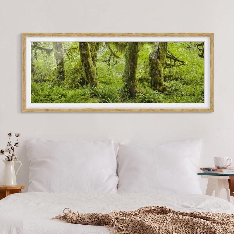 

Póster enmarcado - Hall Of Muschi Olympic National Park Dimensión LxA: 30cm x 75cm, Marco: Roble