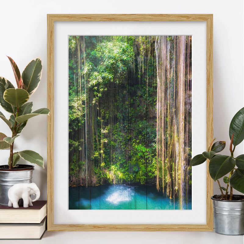 

Póster enmarcado - Hanging Roots Of Ik-Kil Cenote Dimensión LxA: 40cm x 30cm, Marco: Roble