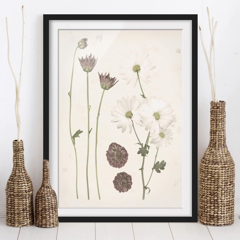 

Póster enmarcado - Herbarium In Rosa Iv Dimensión LxA: 70cm x 50cm, Marco: Negro
