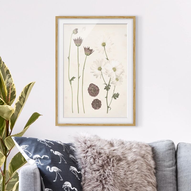 

Póster enmarcado - Herbarium In Rosa Iv Dimensión LxA: 40cm x 30cm, Marco: Roble