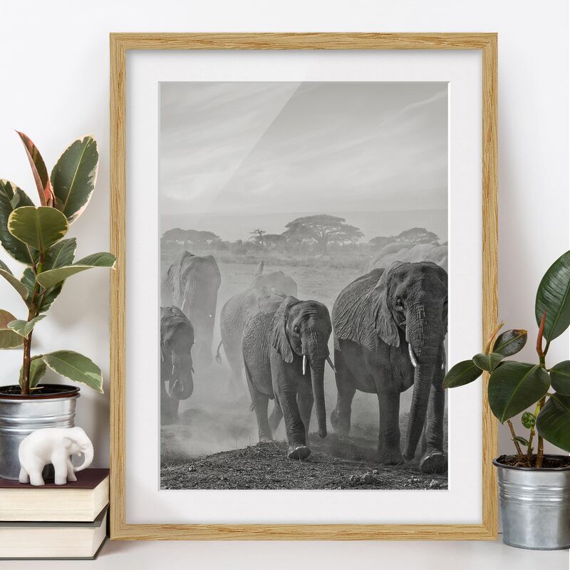 

Póster enmarcado - Herd Of Elephants Dimensión LxA: 100cm x 70cm, Marco: Roble