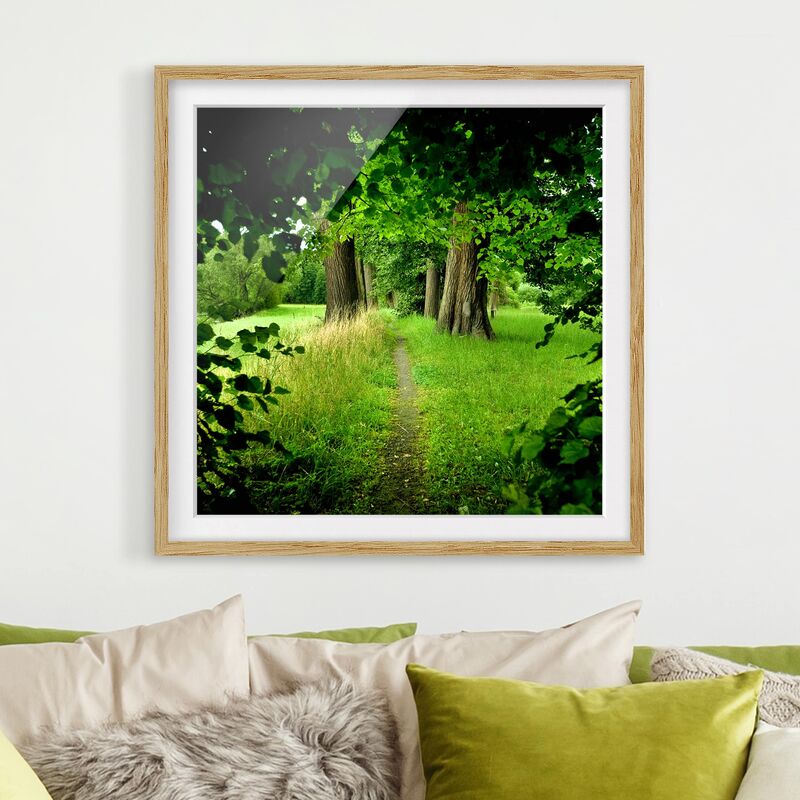 

Póster enmarcado - Hidden Glade Dimensión LxA: 30cm x 30cm, Marco: Roble