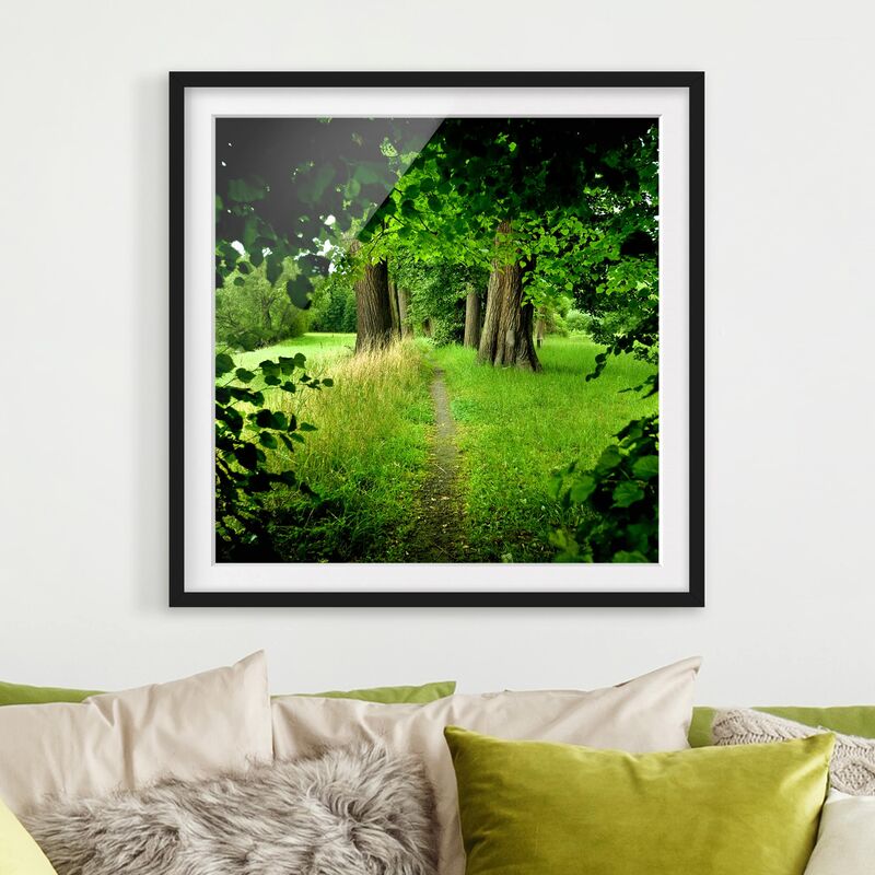 

Póster enmarcado - Hidden Glade Dimensión LxA: 50cm x 50cm, Marco: Negro