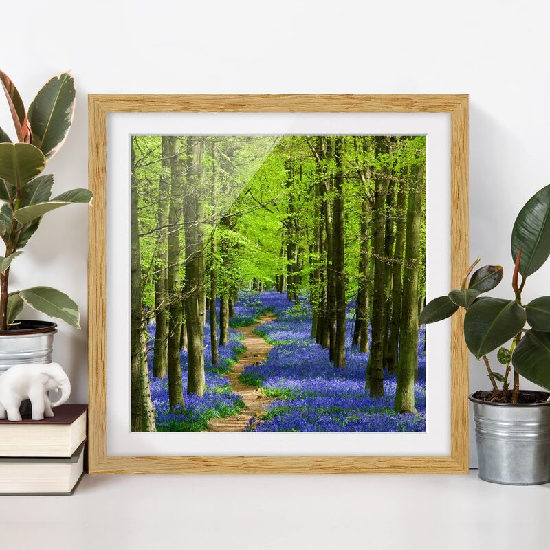 

Póster enmarcado - Hiking In Hertfordshire Dimensión LxA: 20cm x 20cm, Marco: Roble