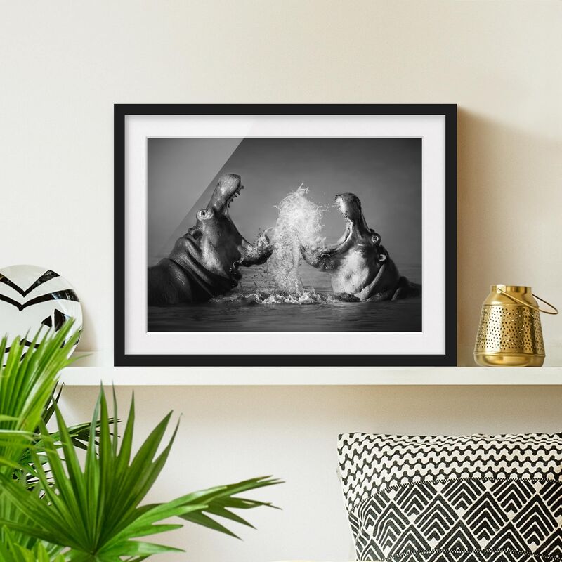 

Póster enmarcado - Hippo Fight Dimensión LxA: 18cm x 24cm, Marco: Negro