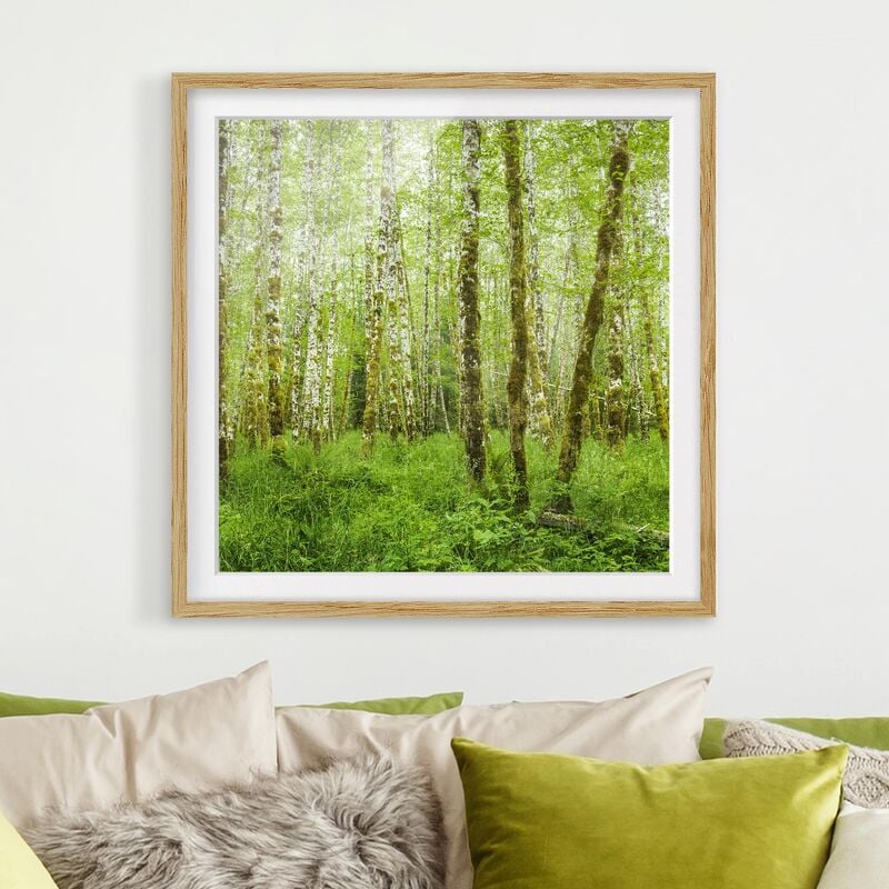 

Póster enmarcado - Hoh Rain Forest In Olympic National Park Dimensión LxA: 70cm x 70cm, Marco: Roble