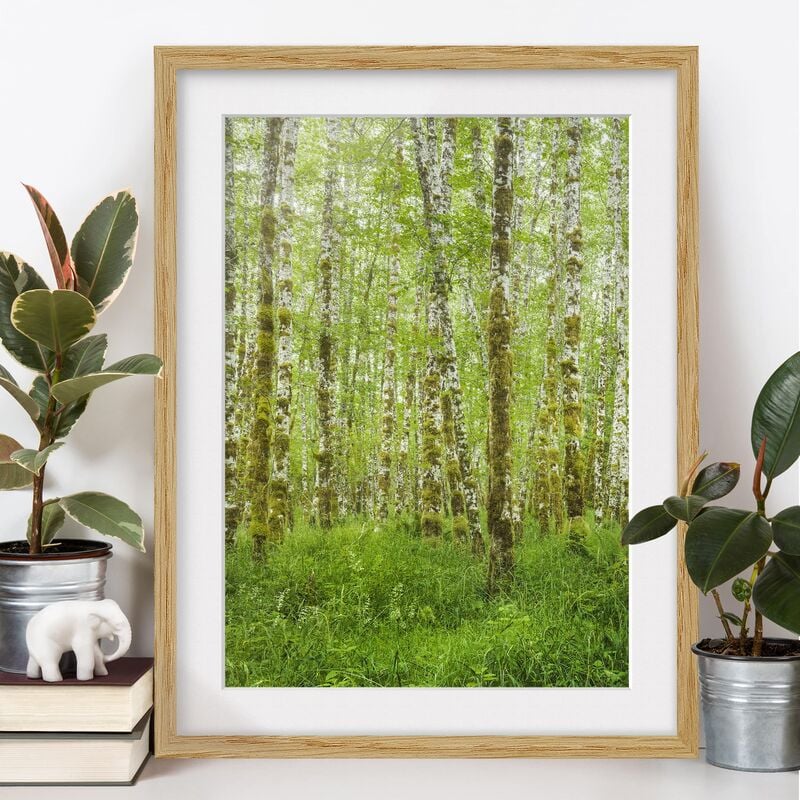 

Póster enmarcado - Hoh Rain Forest In Olympic National Park Dimensión LxA: 100cm x 70cm, Marco: Roble