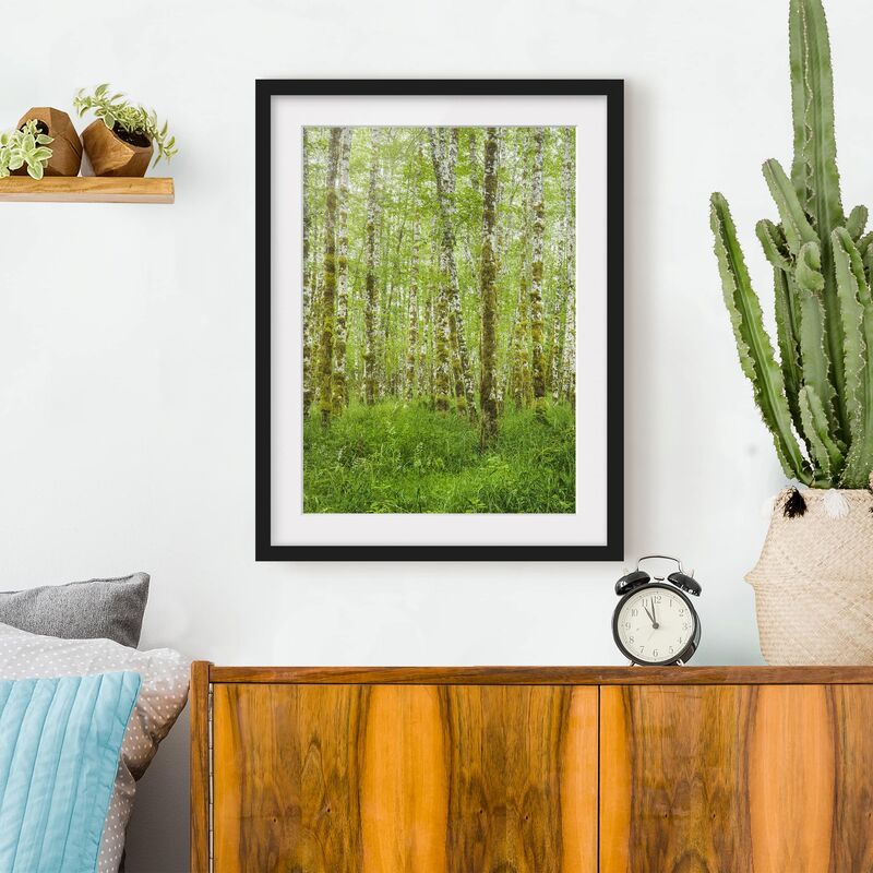 

Póster enmarcado - Hoh Rain Forest In Olympic National Park Dimensión LxA: 40cm x 30cm, Marco: Negro