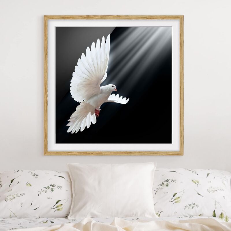 

Póster enmarcado - Holy Dove Dimensión LxA: 70cm x 70cm, Marco: Roble