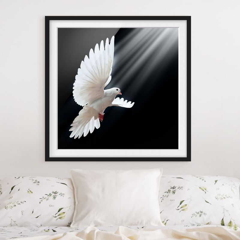 

Póster enmarcado - Holy Dove Dimensión LxA: 50cm x 50cm, Marco: Negro