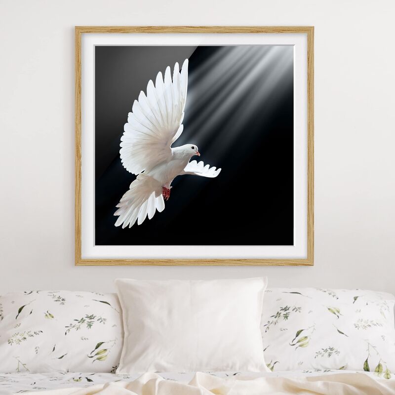 

Póster enmarcado - Holy Dove Dimensión LxA: 30cm x 30cm, Marco: Roble
