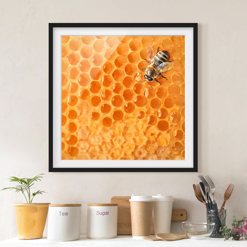 

Póster enmarcado - Honey Bee Dimensión LxA: 70cm x 70cm, Marco: Negro