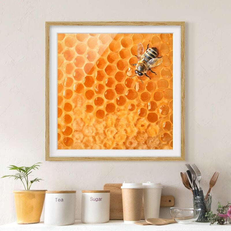 

Póster enmarcado - Honey Bee Dimensión LxA: 50cm x 50cm, Marco: Roble
