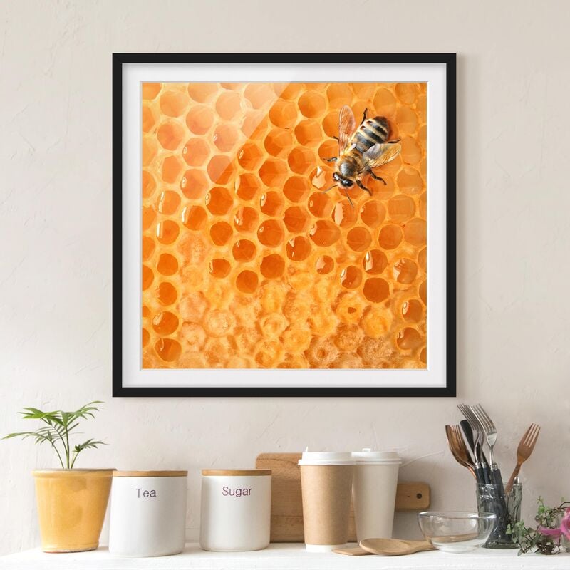 

Póster enmarcado - Honey Bee Dimensión LxA: 20cm x 20cm, Marco: Negro