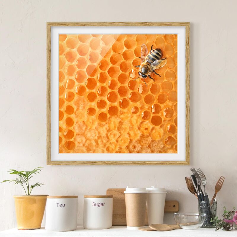 

Póster enmarcado - Honey Bee Dimensión LxA: 70cm x 70cm, Marco: Roble