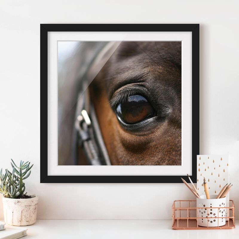 

Póster enmarcado - Horse Eye No.3 Dimensión LxA: 50cm x 50cm, Marco: Negro