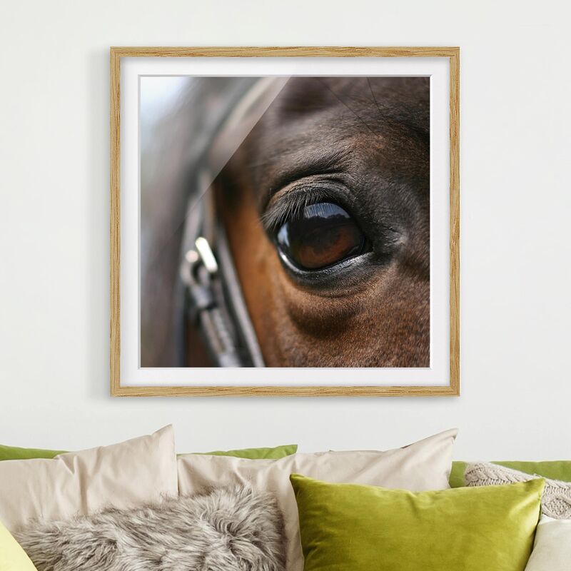 

Póster enmarcado - Horse Eye No.3 Dimensión LxA: 20cm x 20cm, Marco: Roble