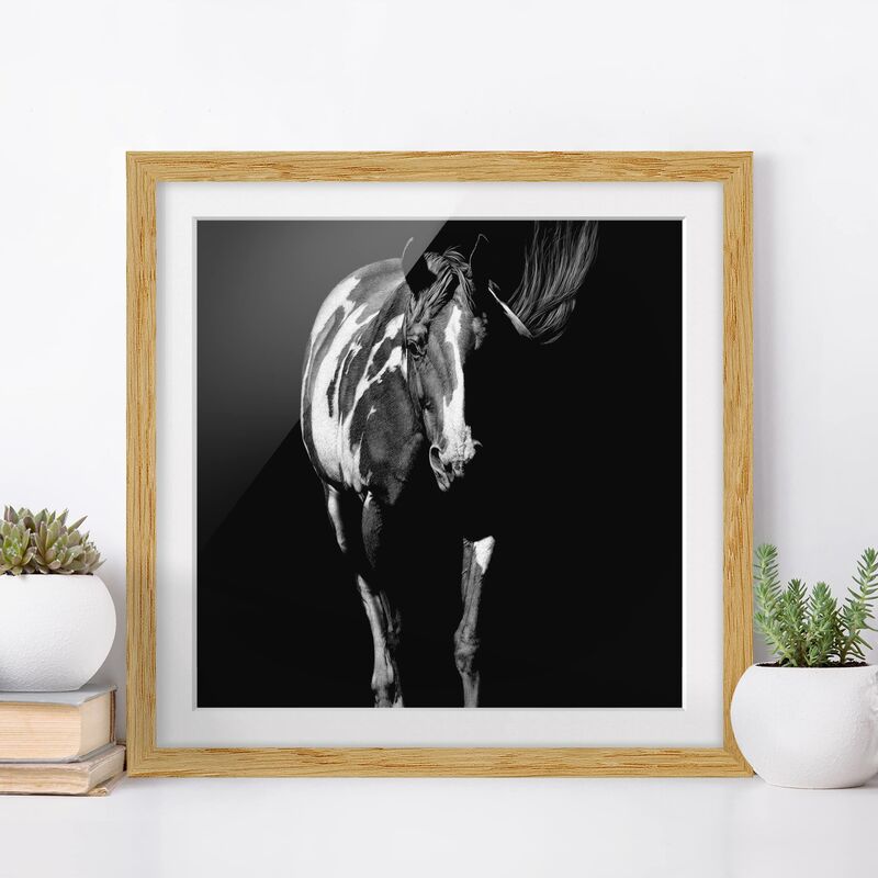 

Póster enmarcado - Horse In The Dark Dimensión LxA: 20cm x 20cm, Marco: Roble