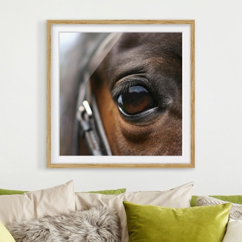 

Póster enmarcado - Horse Eye No.3 Dimensión LxA: 70cm x 70cm, Marco: Roble
