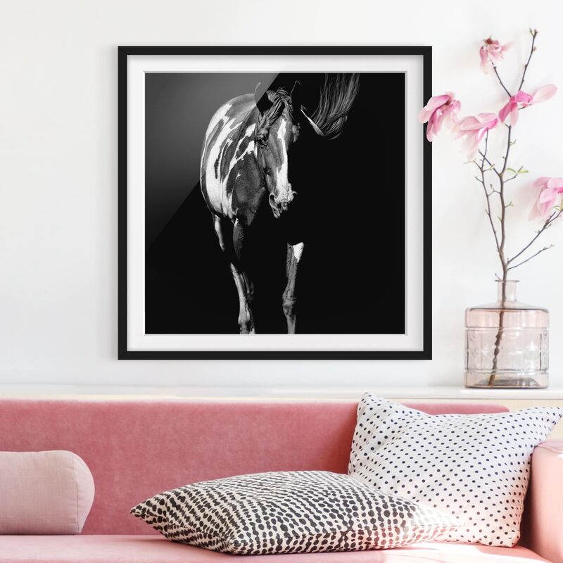 

Póster enmarcado - Horse In The Dark Dimensión LxA: 20cm x 20cm, Marco: Negro