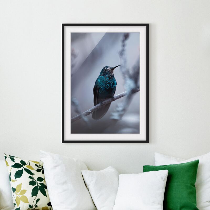 

Póster enmarcado - Hummingbird In Winter Dimensión LxA: 40cm x 30cm, Marco: Negro