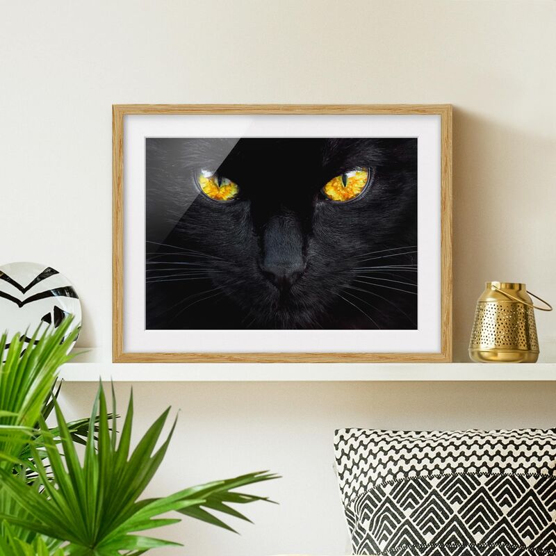 

Póster enmarcado - Hypnotic Glance Dimensión LxA: 40cm x 55cm, Marco: Roble