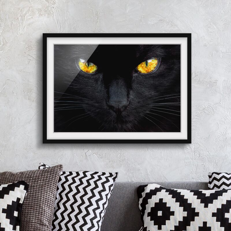 

Póster enmarcado - Hypnotic Glance Dimensión LxA: 30cm x 40cm, Marco: Negro