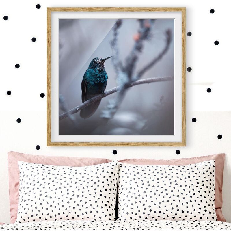 

Póster enmarcado - Hummingbird In Winter Dimensión LxA: 20cm x 20cm, Marco: Roble