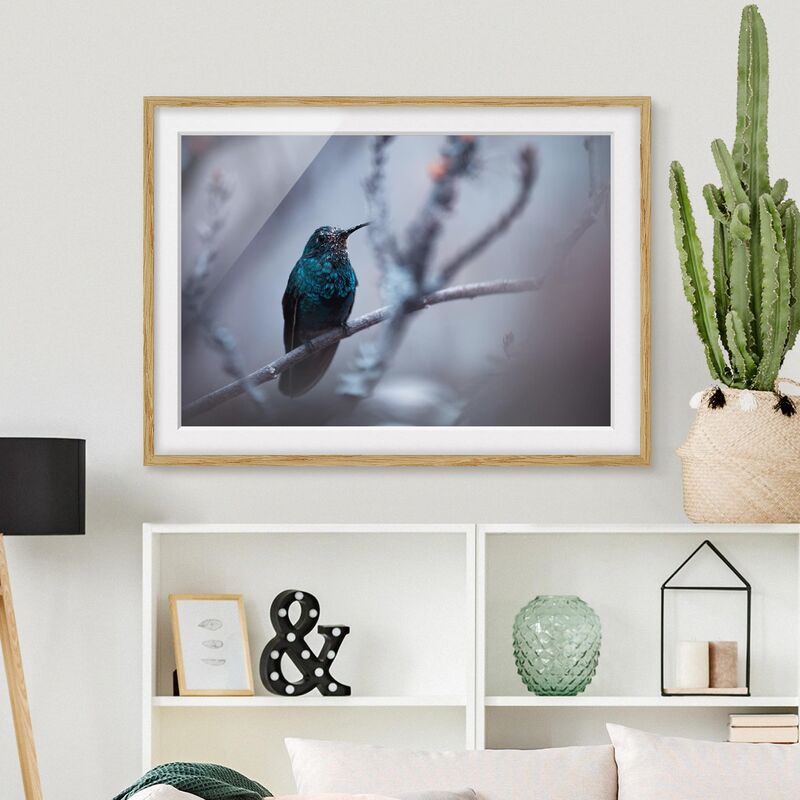 

Póster enmarcado - Hummingbird In Winter Dimensión LxA: 18cm x 24cm, Marco: Roble