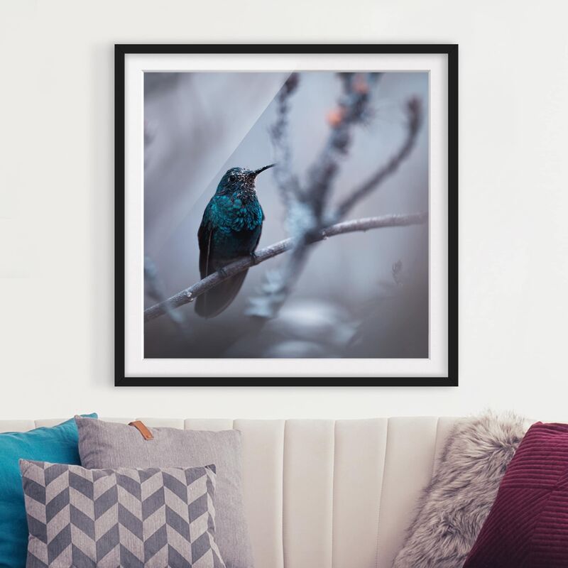 

Póster enmarcado - Hummingbird In Winter Dimensión LxA: 70cm x 70cm, Marco: Negro