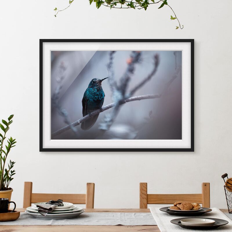 

Póster enmarcado - Hummingbird In Winter Dimensión LxA: 18cm x 24cm, Marco: Negro