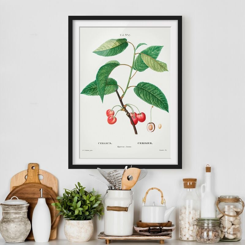 

Póster enmarcado - Illustrazione botanica rosso dell'annata Ciliegie Dimensión LxA: 40cm x 30cm, Marco: Negro