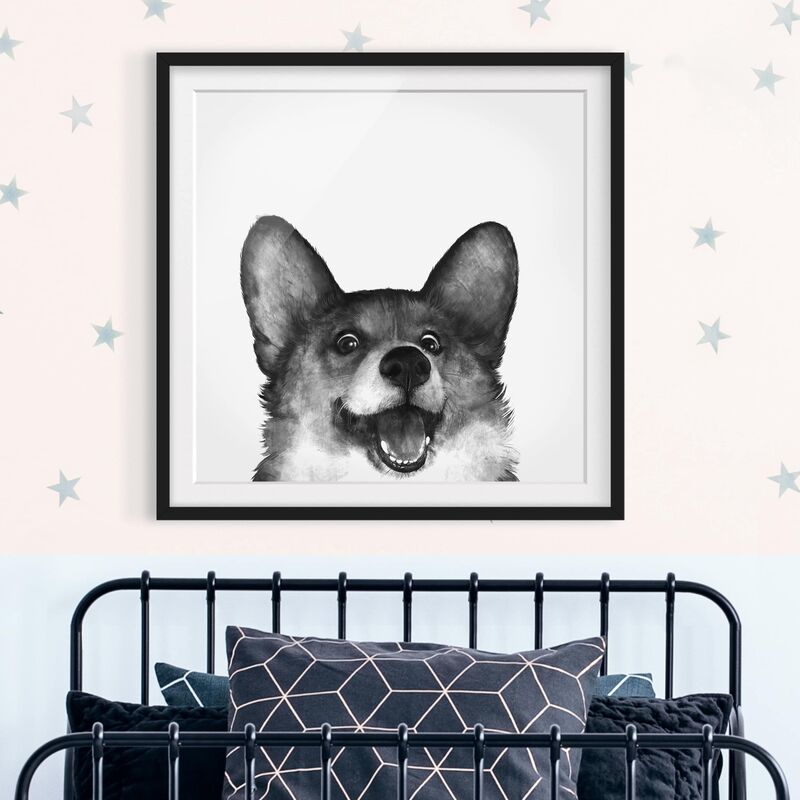 

Póster enmarcado - Illustrazione Cane Corgi Bianco Nero Pittura Dimensión LxA: 30cm x 30cm, Marco: Negro