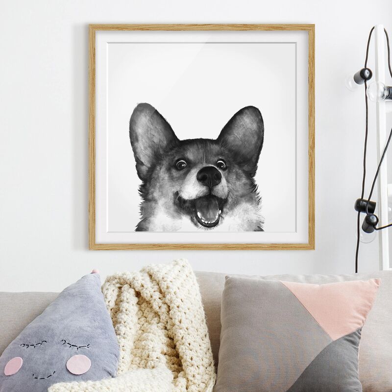 

Póster enmarcado - Illustrazione Cane Corgi Bianco Nero Pittura Dimensión LxA: 30cm x 30cm, Marco: Roble